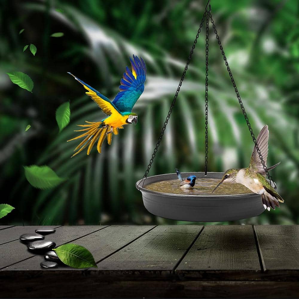Gray Steel Hanging Bird Bath and Feeder Tray