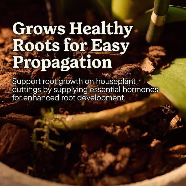 Miracle-Gro Plant Care Root Starter Gel, Rooting Hormone for