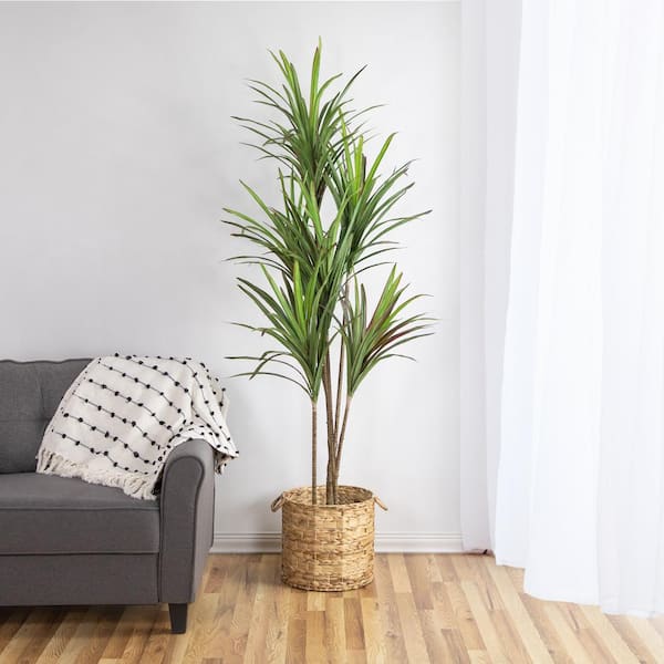 Northlight 67 inch Artificial Plastic Dracaena Marginata Potted Plant, Green