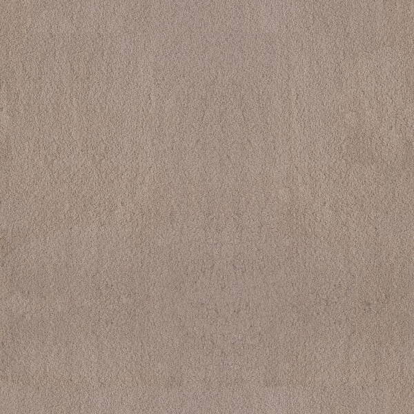 Lifeproof Dreamy Daze II Rowan Brown 66 oz. Nylon Texture Installed Carpet