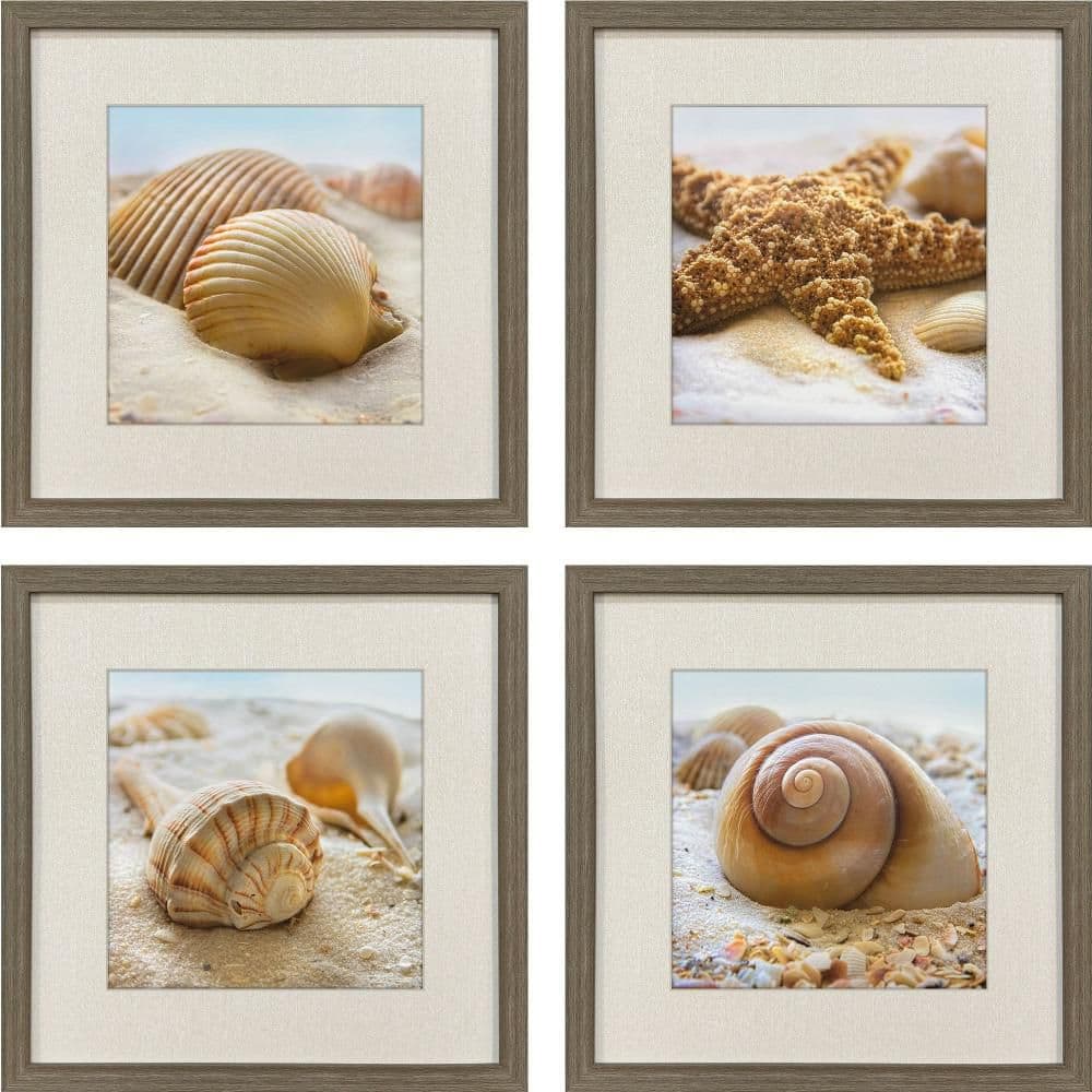 4 Piece Framed Graphic Print Nautical & Beach 20.00 in. x 20.00 in. price history on PriceWatchPro