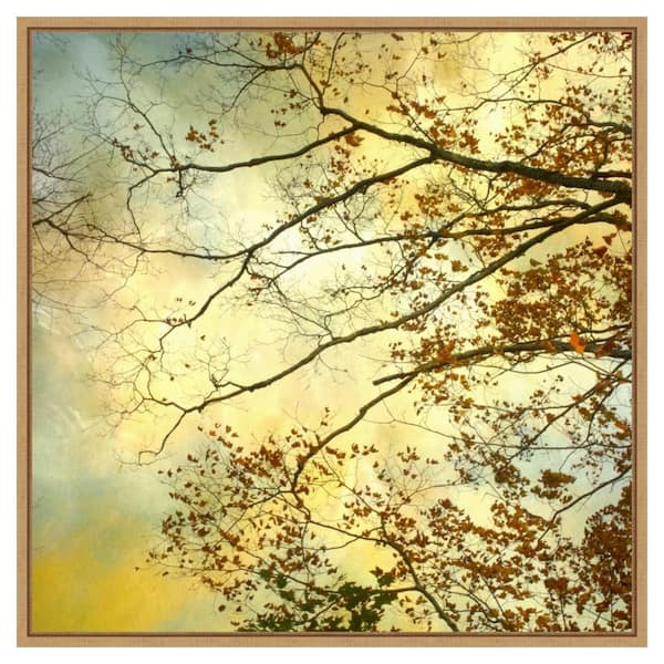 Amanti Art Storm Clouds II by Judy Stalus 30 in. W x 30 in. H Canvas Float Frame in Brown