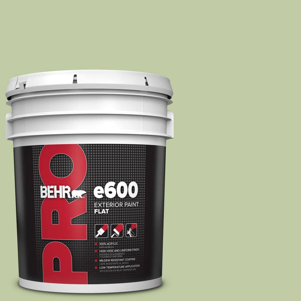 BEHR PRO 5 gal. M3604 Marjoram Flat Exterior Paint PR61005 The Home