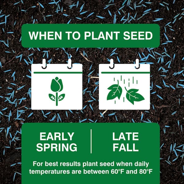wildflower seed Northeast Wildflower Seeds – Sweet Yards