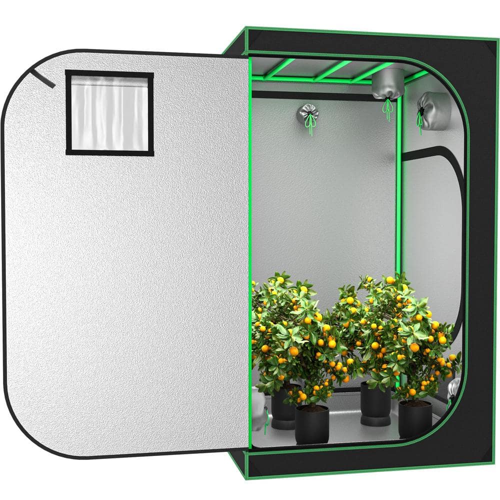4 ft x 4 ft Green Hydroponic Grow Tent with Observation Window