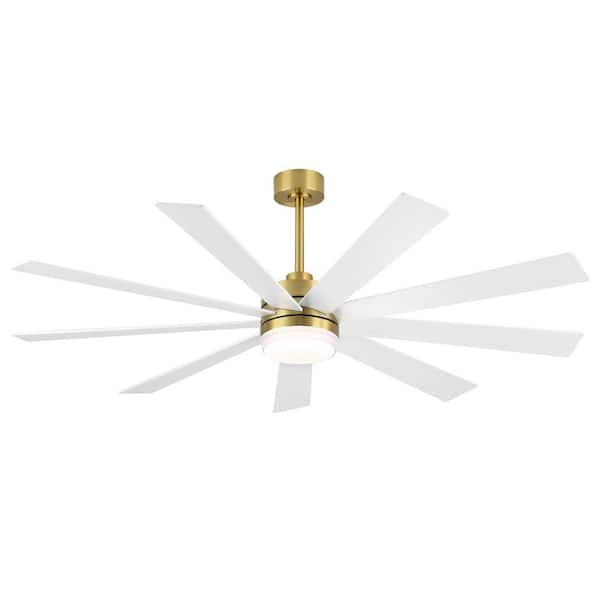 WINGBO 80 in. LED Indoor White and Gold Ceiling Fan with Remote