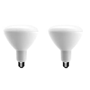 75-Watt Equivalent BR40 Dimmable Energy Star LED Light Bulb Soft White (2-Pack)