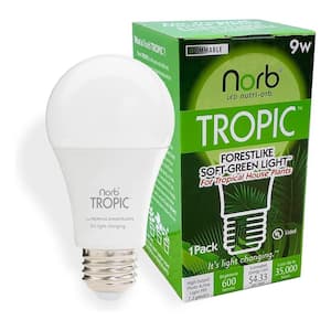 NorbBOTANIC 9-Watt Equivalence A19 Canopy-Filtered 4200K Tropic Grow Light Bulb (1-Pack)