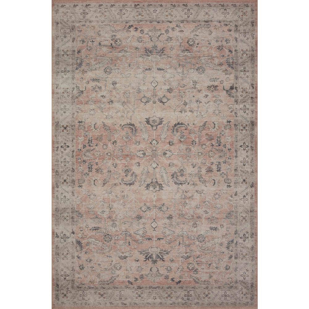 Hathaway Blush/Multi 2 ft. x 5 ft. Traditional Distressed Printed Area Rug price history on PriceWatchPro