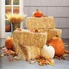 Have a question about FloraCraft 20 in. Straw Bale Yard Decoration? - Pg 2  - The Home Depot