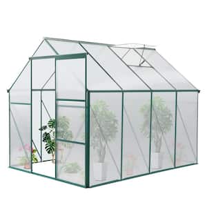 6 ft. W x 8 ft. D x 6ft. H Green Walk-in Hobby Greenhouse