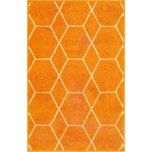 Trellis Frieze Orange Doormat 2 ft. x 3 ft. Geometric Area Rug