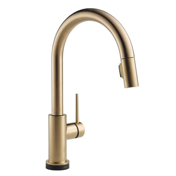 Delta Trinsic Touch2O Single-Handle Pull-Down Sprayer Kitchen Faucet (Google Assistant, Alexa Compatible) in Champagne Bronze