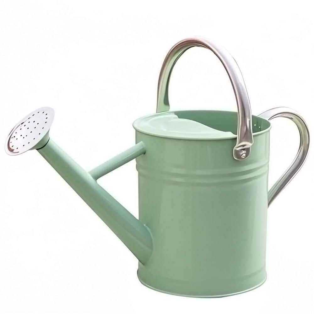 1 gal. Cream Green Metal Watering Can with Stainless Steel Handle for Outdoor Indoor Garden Plants Watering price history on PriceWatchPro