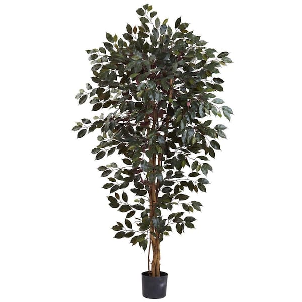 Nearly Natural 6 ft. Artificial Capensia Ficus Tree