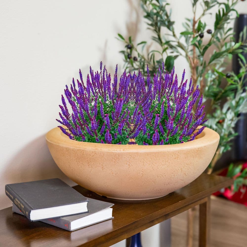 Percival Sand Polyresin Round Outdoor Planter, 20.75"