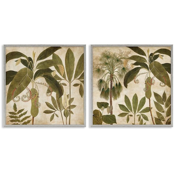 Stupell Industries Vintage Botanical Tropics by Chris Donovan 2 Pieces Gray Framed Nature Giclee Art Print 24 in. x 24 in.