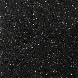 Granite Galaxy Black Polished 12.01 in. x 12.01 in. Granite Floor and Wall Tile (1 sq. ft.)