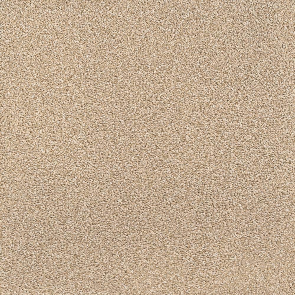 8 in. x  8 in. Texture Carpet Sample - Spicework I -Color Norwalk price history on PriceWatchPro