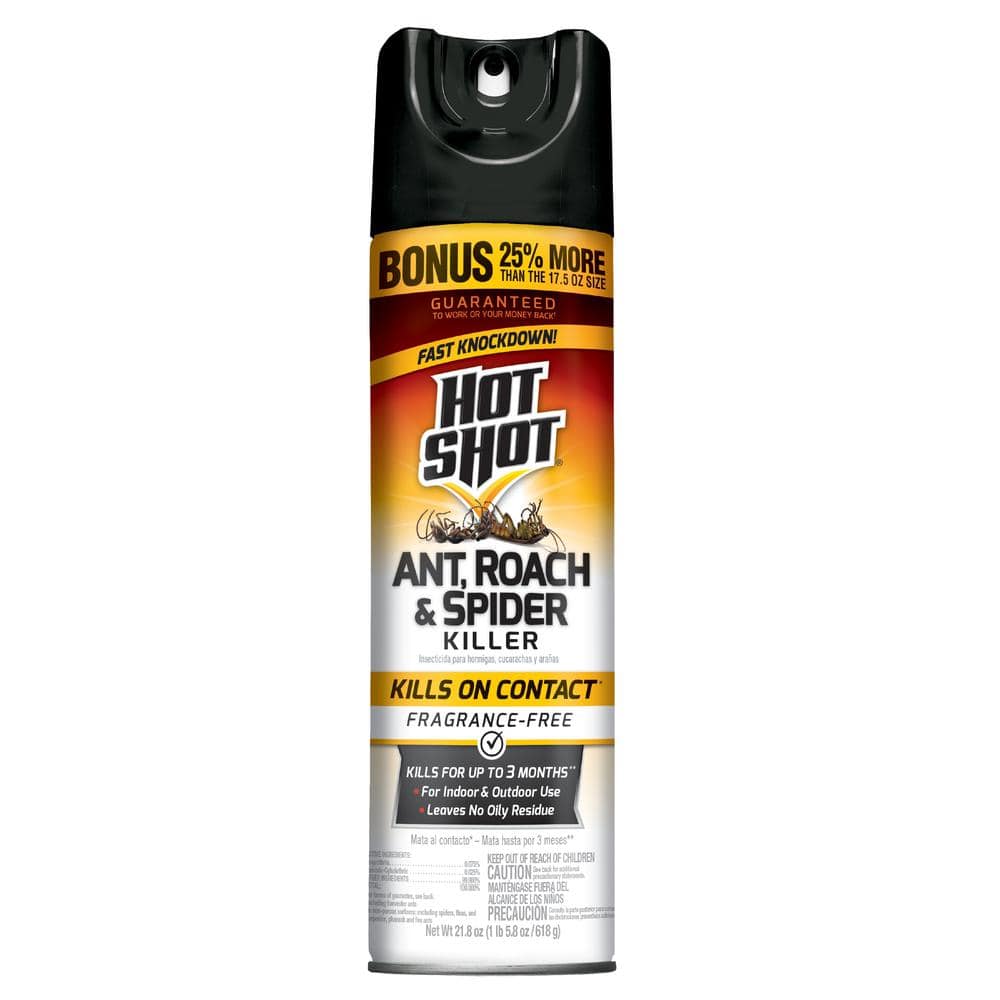 lærebog maske eksil Hot Shot 21.875 oz. Bonus Ant, Roach and Spider Unscented Insect  Killer-HG-36780 - The Home Depot
