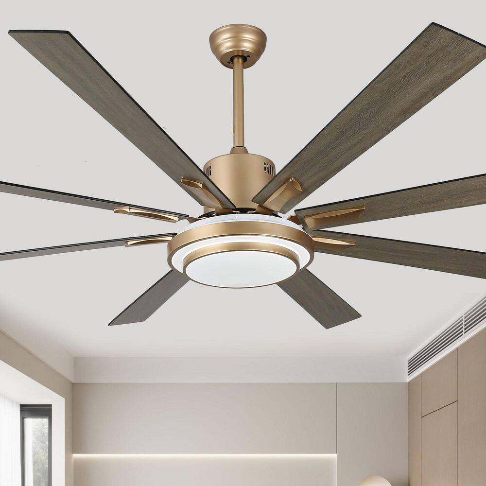 Nimbella 72 in. Indoor Gold Downrod Standard Modern Ceiling Fan with Light and Remote, DC Motor Caged Ceiling Fan price history on PriceWatchPro