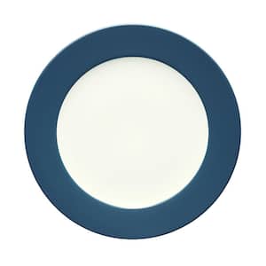 Colorwave Blue Stoneware Rim Dinner Plate 11 in.