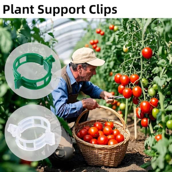 Primehome 100 Pack Green Plastic Plant Support Clips – Reusable