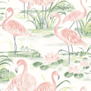 Everglades Coral Flamingos Pink Wallpaper Sample