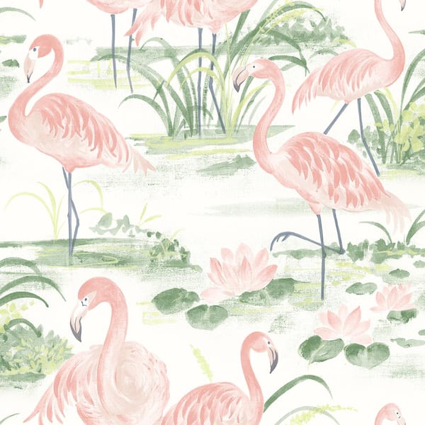 Chesapeake Everglades Coral Flamingos Pink Wallpaper Sample