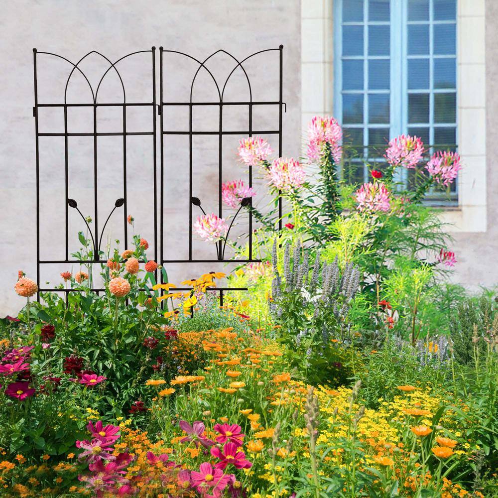 71 in. Black Metal Garden Trellis for Climbing Plants