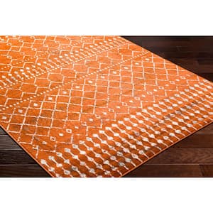 Rubena Burnt Orange 8 ft. x 10 ft. Indoor/Outdoor Area Rug