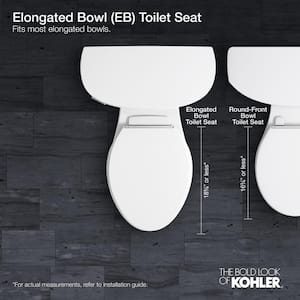 Cachet LED Nightlight Elongated Quiet Closed Front Toilet Seat in Ice Grey