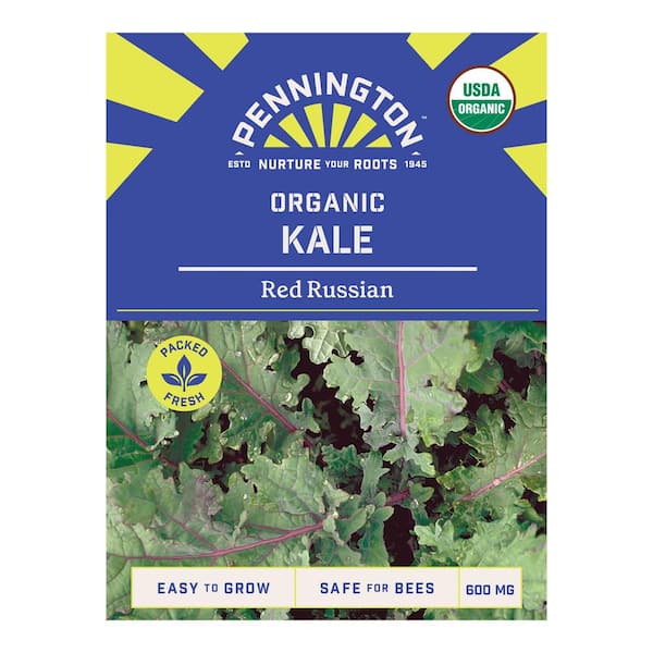 Organic Kale Red Vegetable Seed