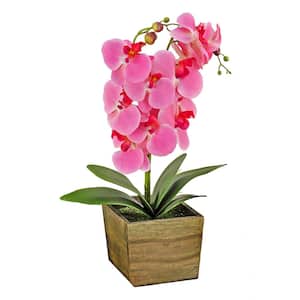 21 in. Artificial Floral Arrangements Orchid in Wooden Box- Color: Pink
