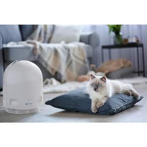 550 sq. ft, Filter-Free Technology, Patented Thermodynamic TSS Air Purifier, White, Destroys Mold, Silent Operation