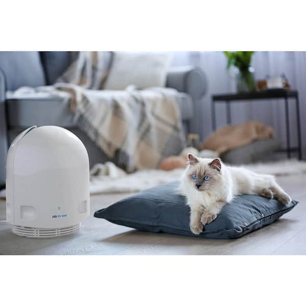 AirFree 550 sq. ft, Filter-Free Technology, Patented Thermodynamic TSS Air Purifier, White, Destroys Mold, Silent Operation