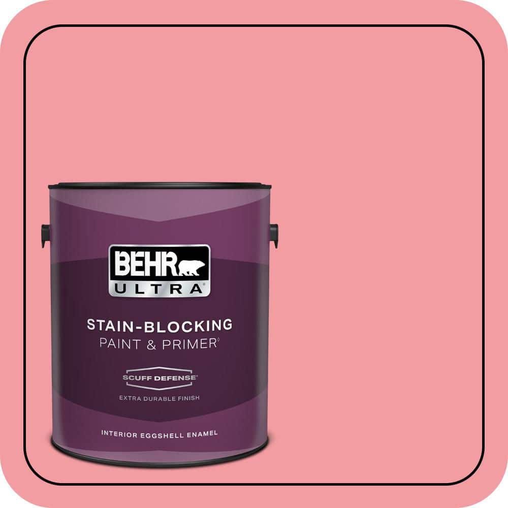 1 gal. #140B-4 Island Coral Extra Durable Eggshell Enamel Interior Paint & Primer product image for price tracking