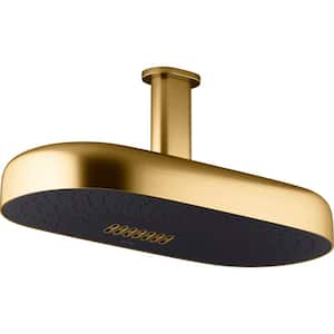 Statement 2-Spray Patterns with 2.5 GPM 14 in. Wall Mount Fixed Shower Head in Vibrant Brushed Moderne Brass