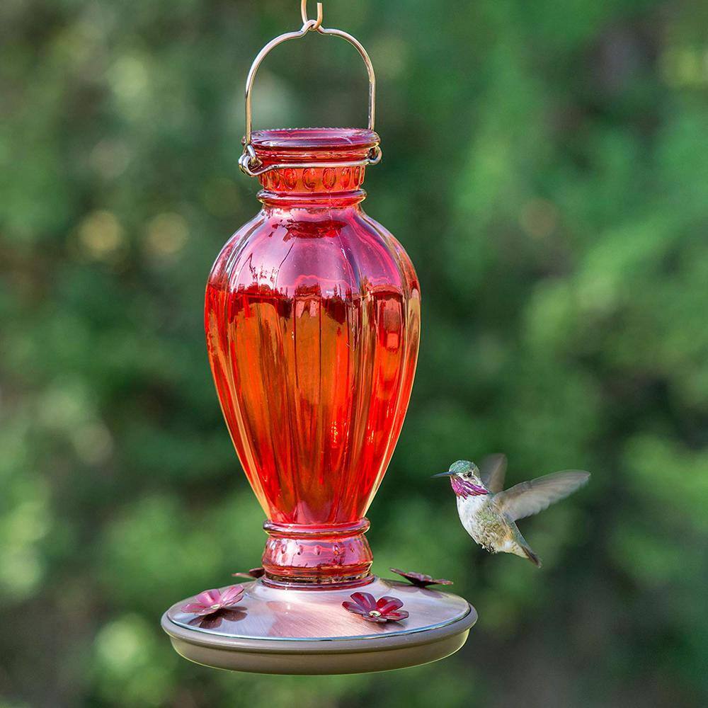 Red Daisy Glass Hummingbird Feeder with Copper Base, 18oz