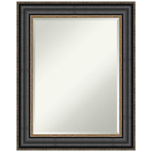 Thomas Black Bronze 23.75 in. H x 29.75 in. W Framed Wall Mirror