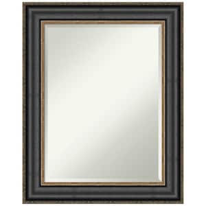 Thomas 23.75 in. x 29.75 in. Modern Rectangle Framed Black Bronze Bathroom Vanity Mirror