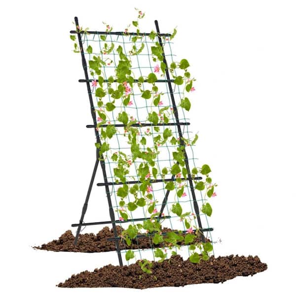 ITOPFOX 74 in. A-frame Stable Structure Tall Garden Trellis for Flower Vine Vegetable Fruit Pea