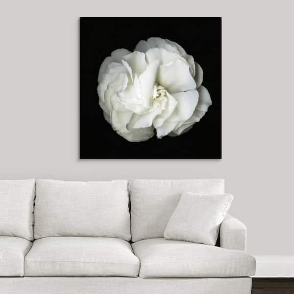 GreatBigCanvas White Flower Blossom- Original Black And White Photograph  by Susanna Shaposhnikova Canvas Wall Art 2527099_24_36x36 - The Home Depot