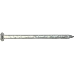 10D (3 in.) Hot Galvanized Common Nail 10 lbs. Tub