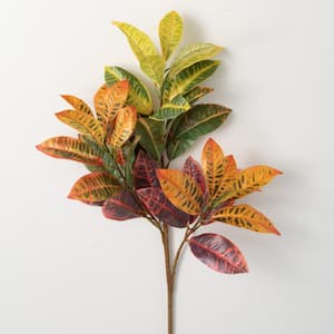 39" Blended Hue Croton Foliage; Multicolor