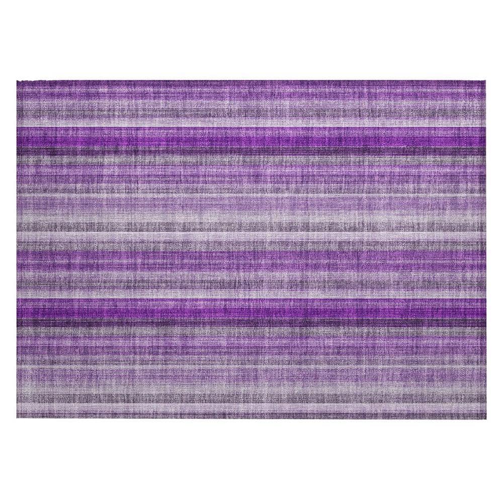Purple 2 ft. x 3 ft. Woven Striped Rectangle Indoor/Outdoor Area Rug price history on PriceWatchPro