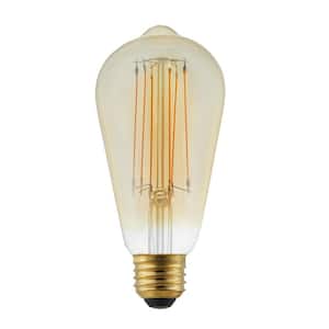 40-Watt Equivalent ST19 Dimmable Cage Filament LED Vintage Edison Light Bulb Amber (1-Pack)