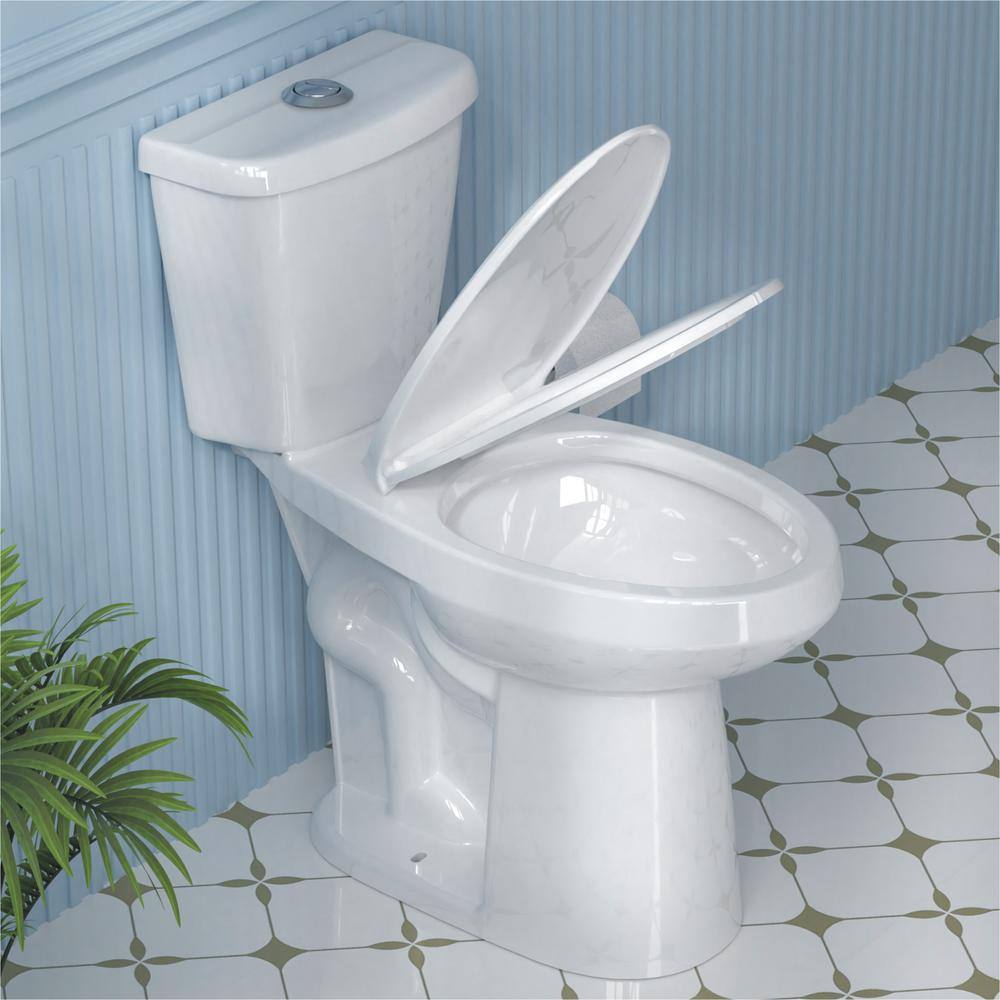 19 in. White Vitreous China Dual Flush Elongated Toilet
