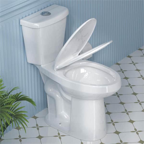 【G-RAP】TY /  FLUSH Have a question about Aguamaph 19 in. 2-Piece Toilet Single