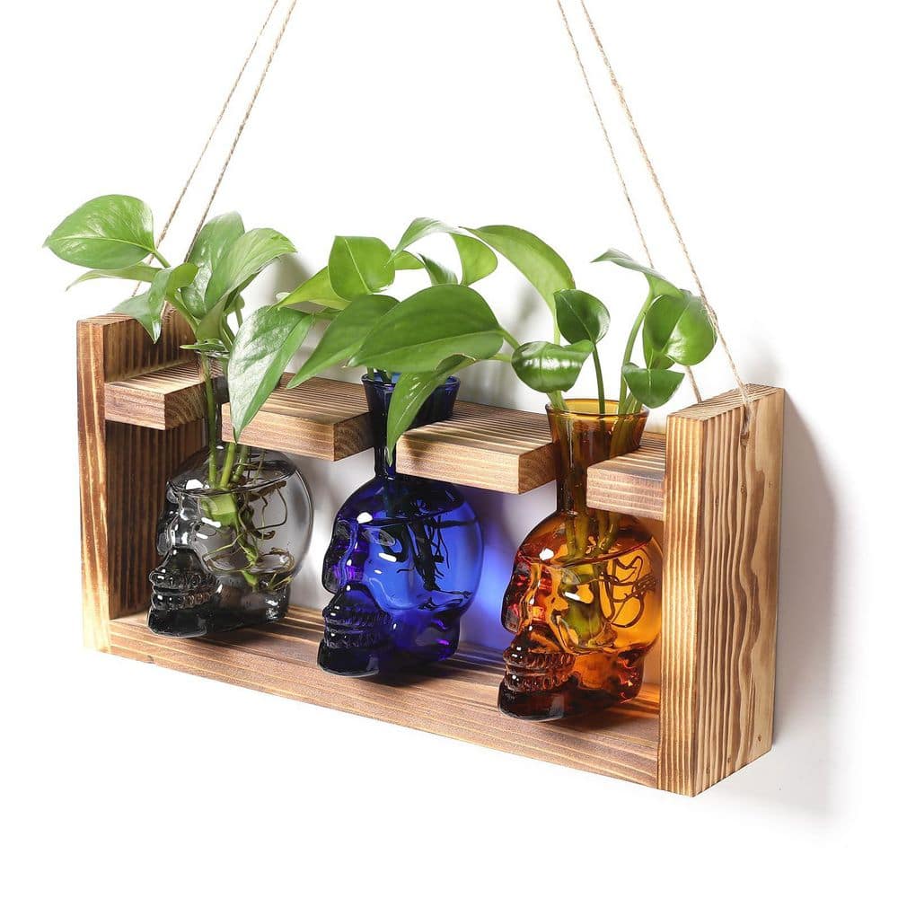 Halloween Skull Planter Vase Skulls Decor with Wooden Stand, Plant Terrarium Propagation Stations price history on PriceWatchPro